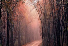 网上配资的平台:股票可以做杠杆-九三阅兵 就在明天！（附具体安排）